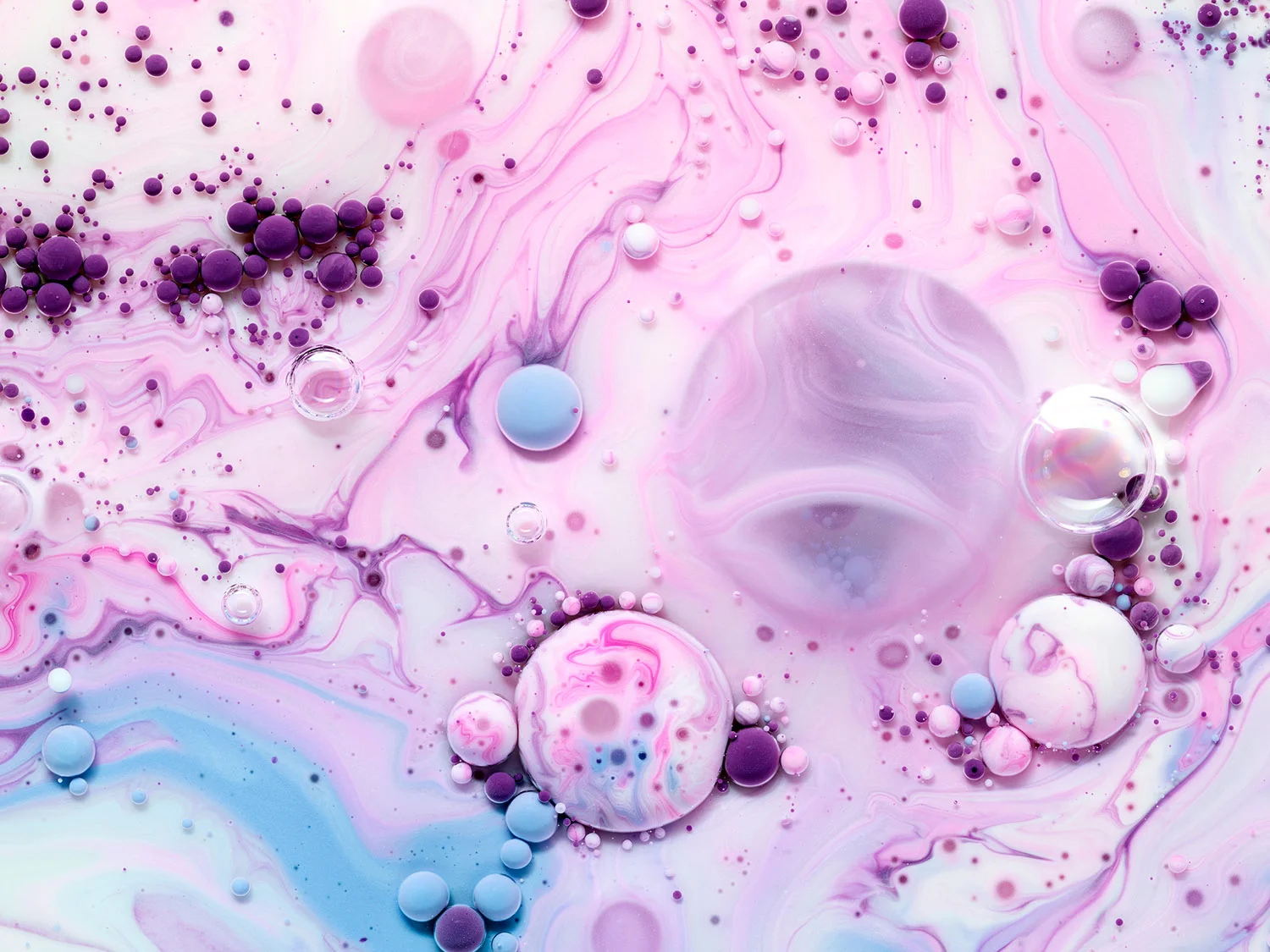 Contatti-Dispar-SpA-Distributore-marchi-profumeria-artistica-cosmesi-di-lusso-makeup-innovativo.jpg