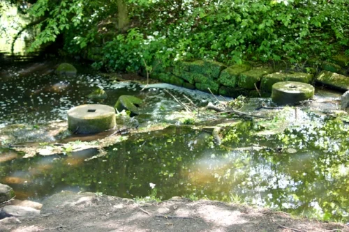 Meanwood Trail, in Meanwood Valley. Photo: Andrew Howdle