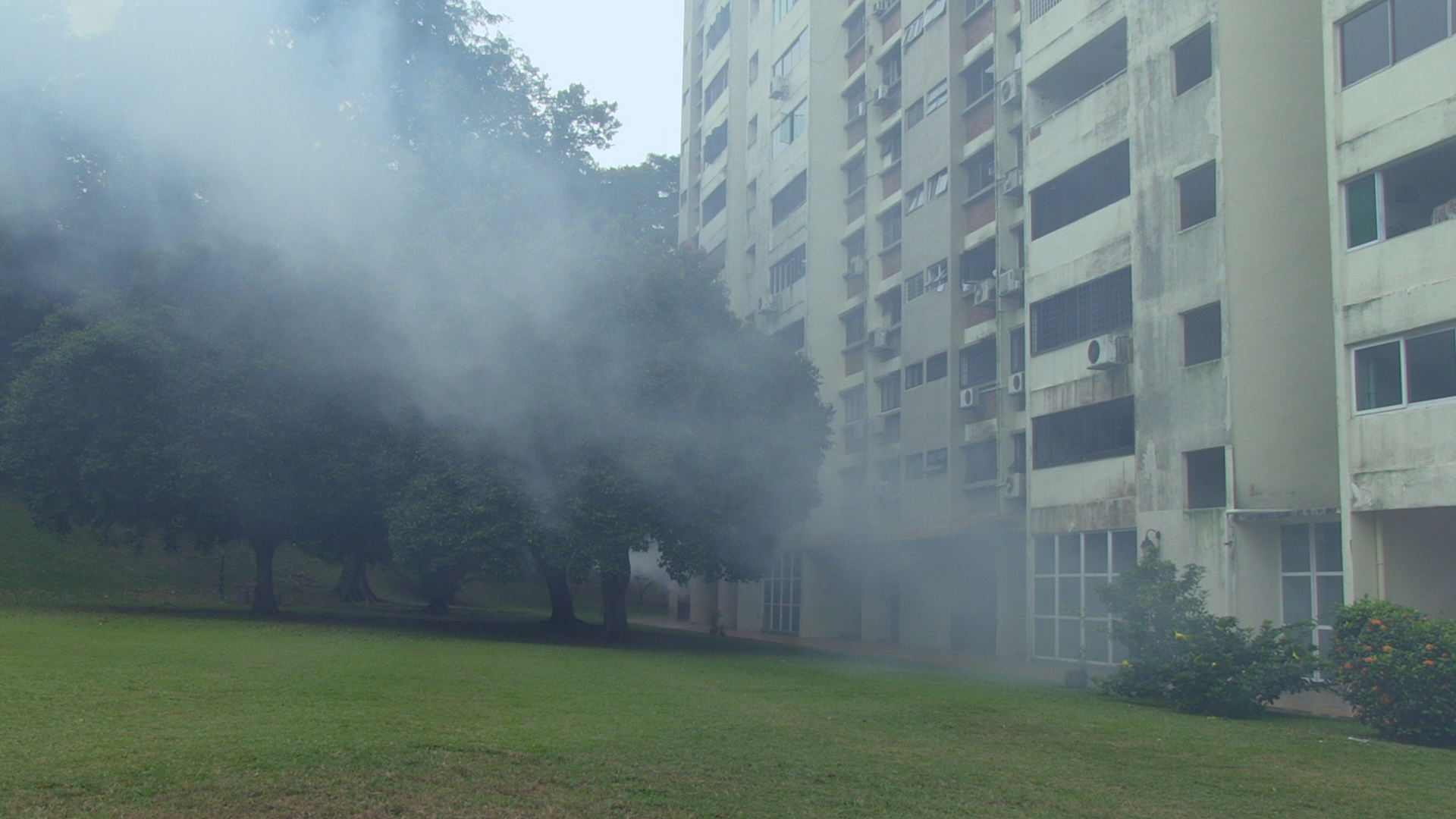 Film still from In Time to Come (2017)