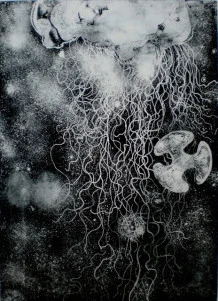Etching from “Stabbing at Immortality: Building a Better Jellyfish” (2013)