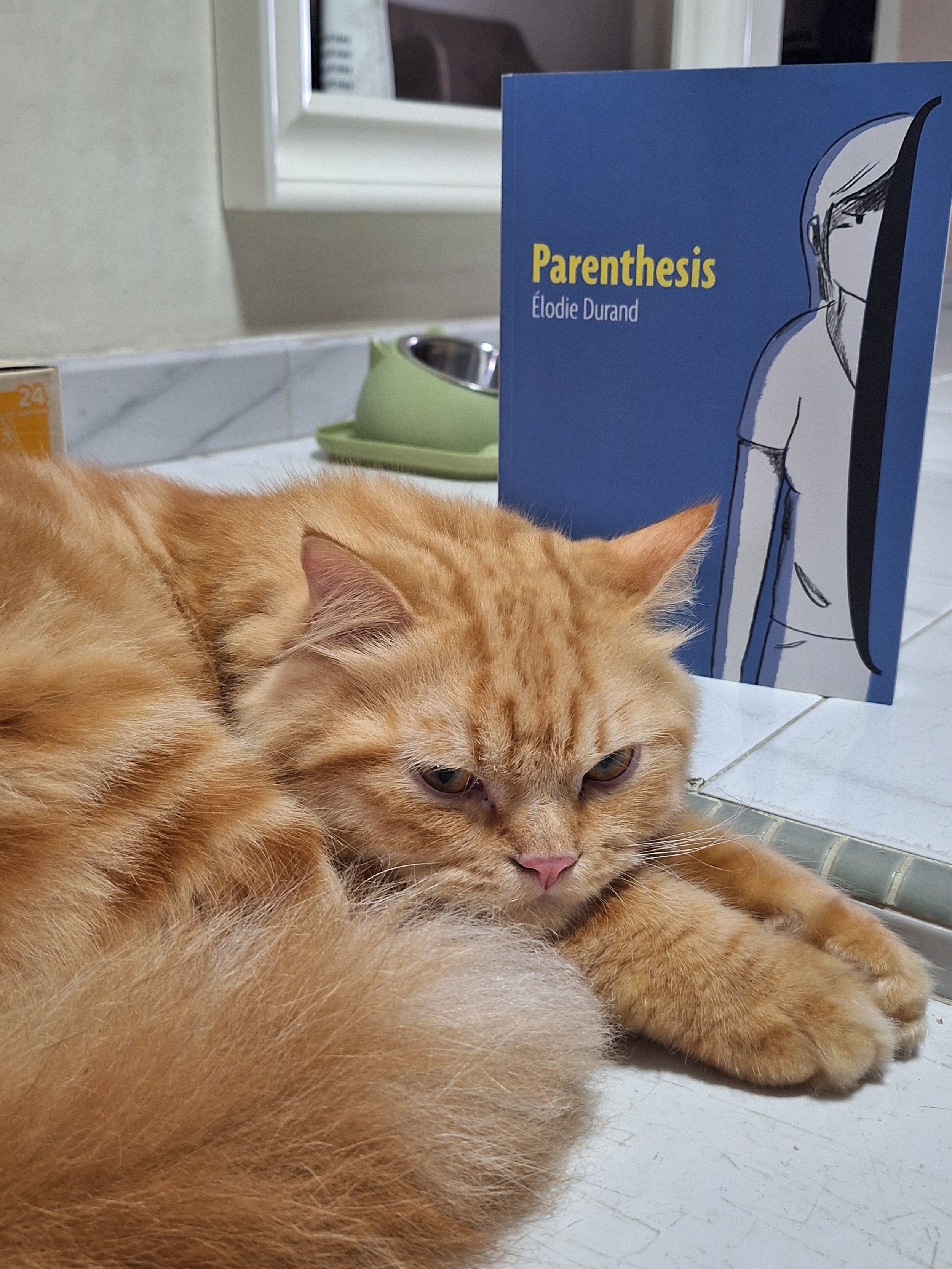 Felix: The Comics, January 2026