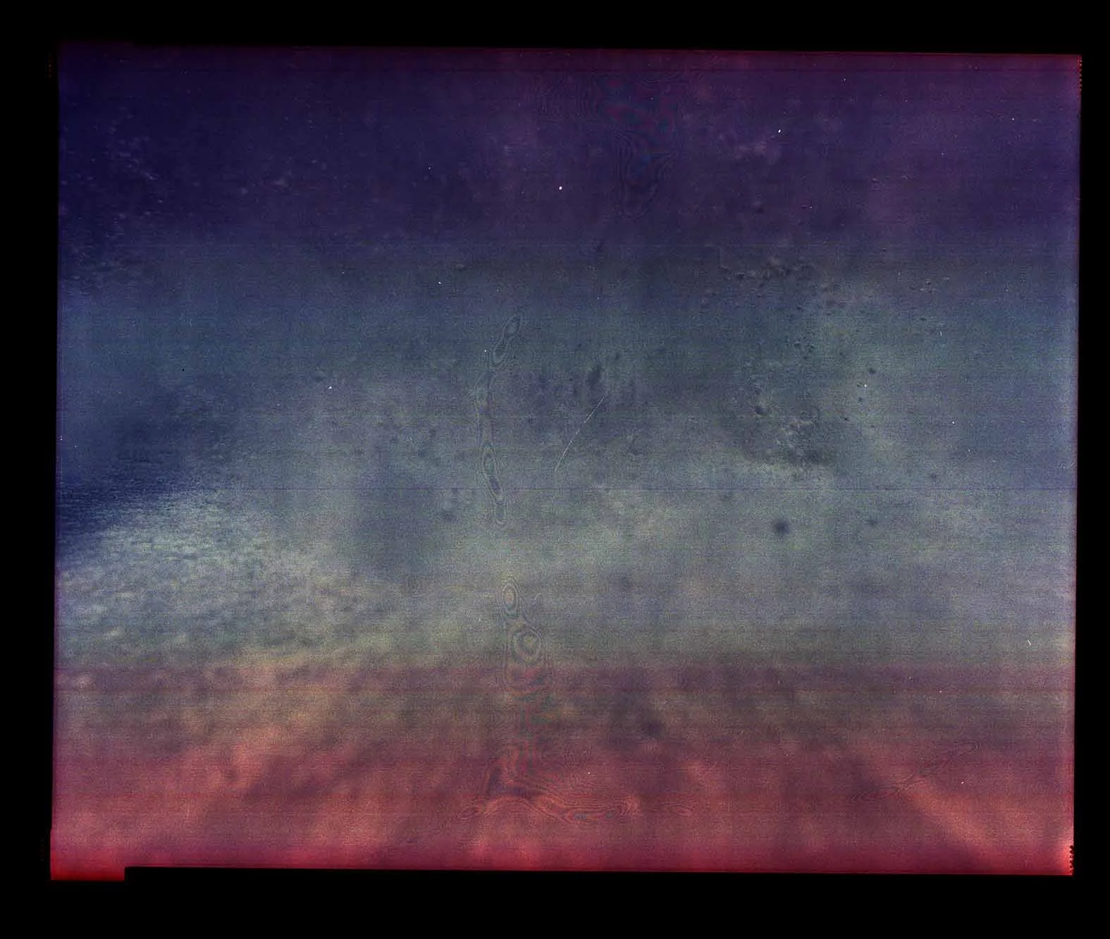 The Final Flame: Extinction’s Edge