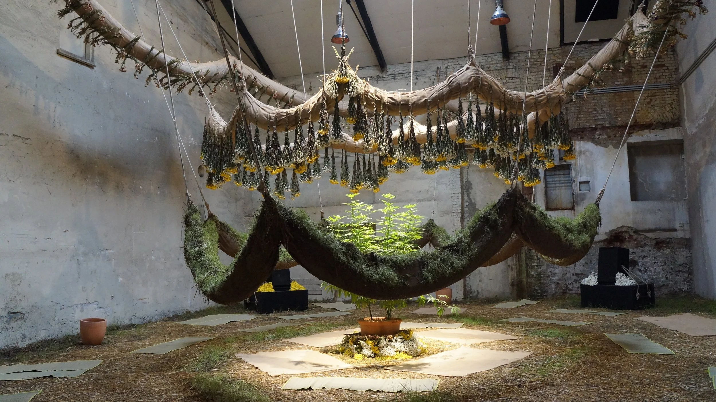 A Handful of Land — Singapore Unbound