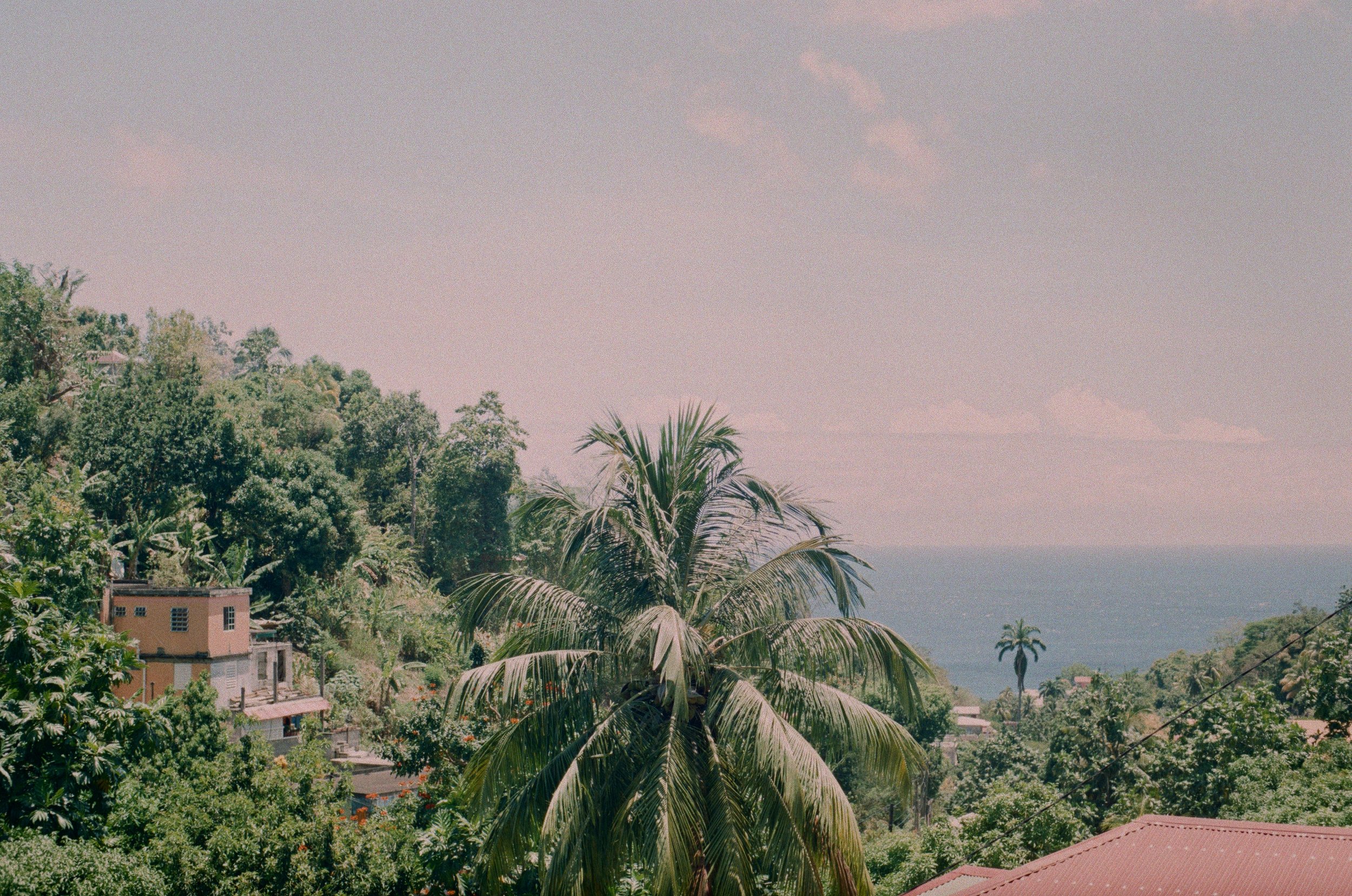 A language of our own: Patois in Désirée Reynolds’ Seduce (2013)