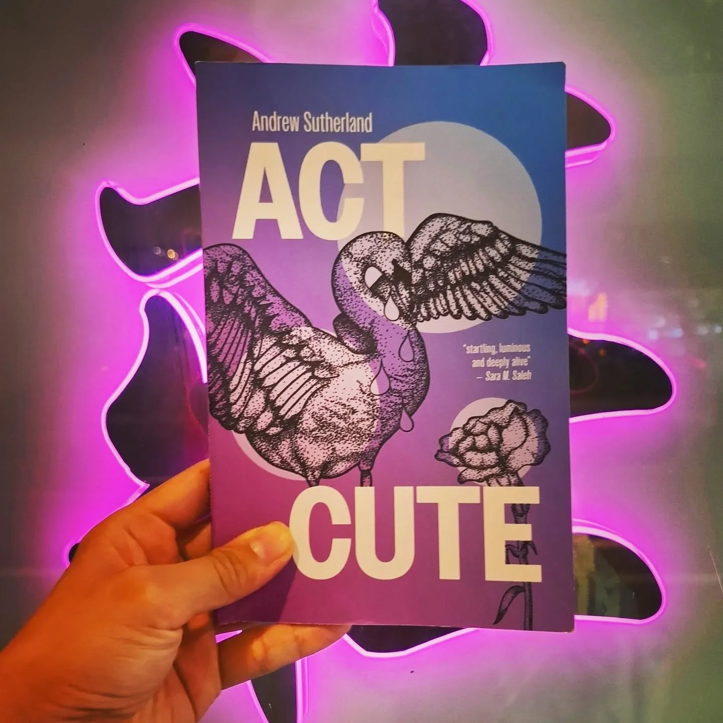 #YISHREADS November 2025