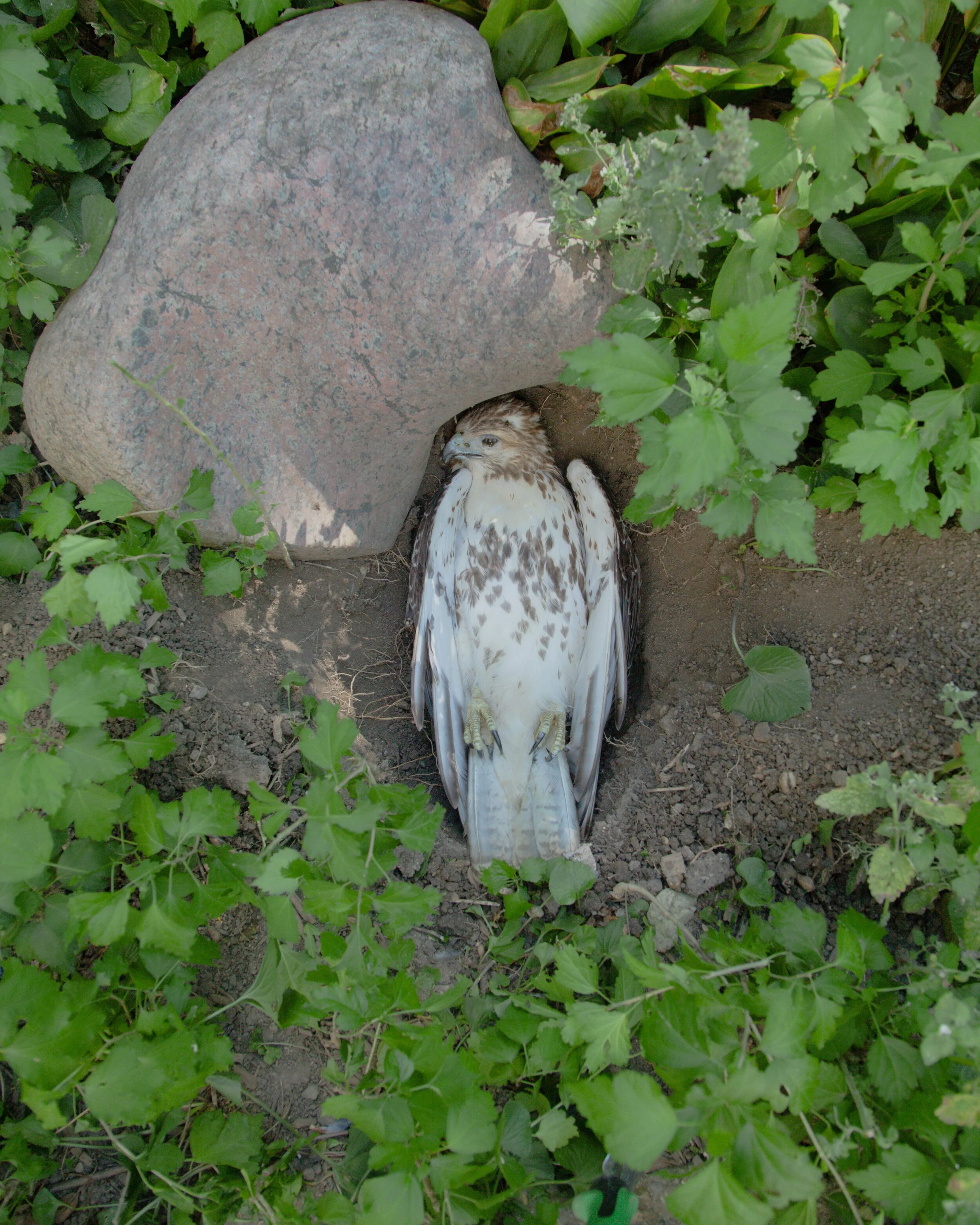 A Poem On The Nature of Things — Singapore Unbound