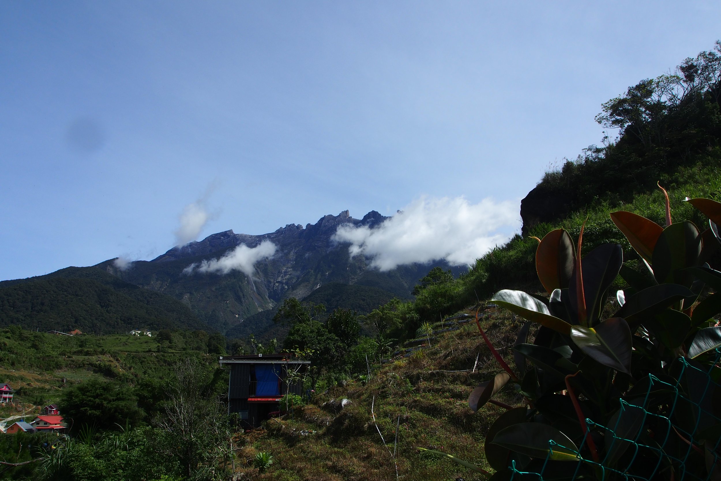 Indigenous Realities: Perspectives from Borneo