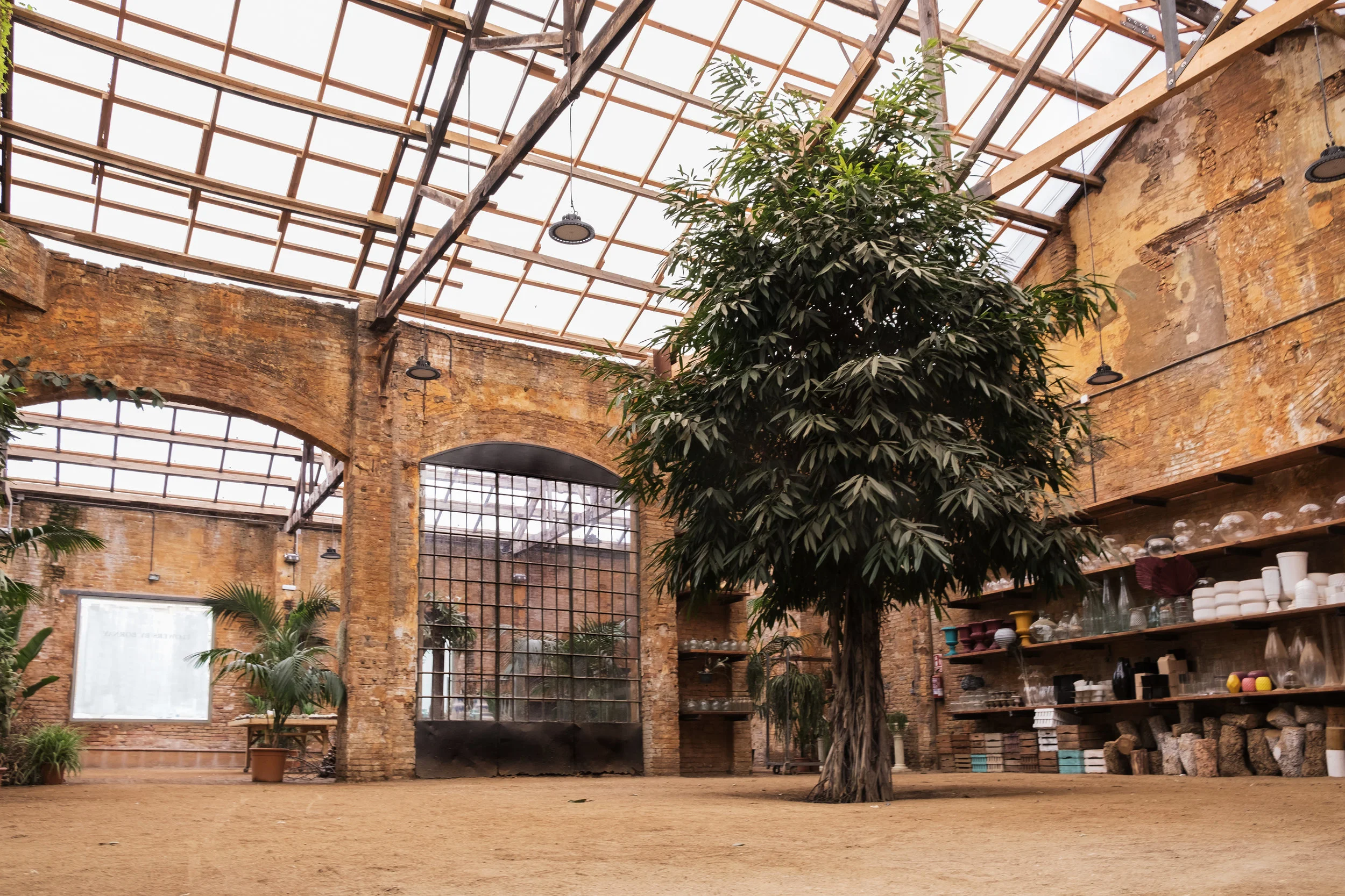 Espacio Árbol