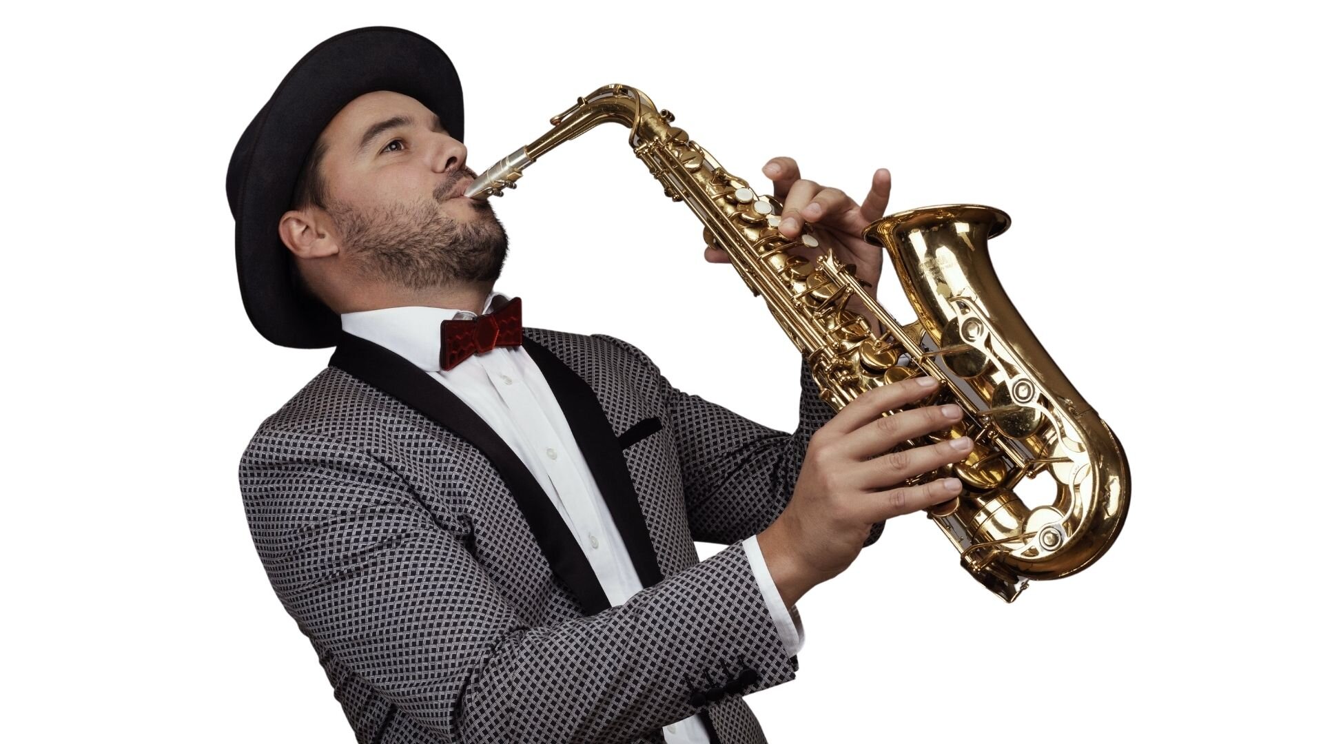 Australia's Entertainers — Australia's best leading saxophone players all round entertainers.