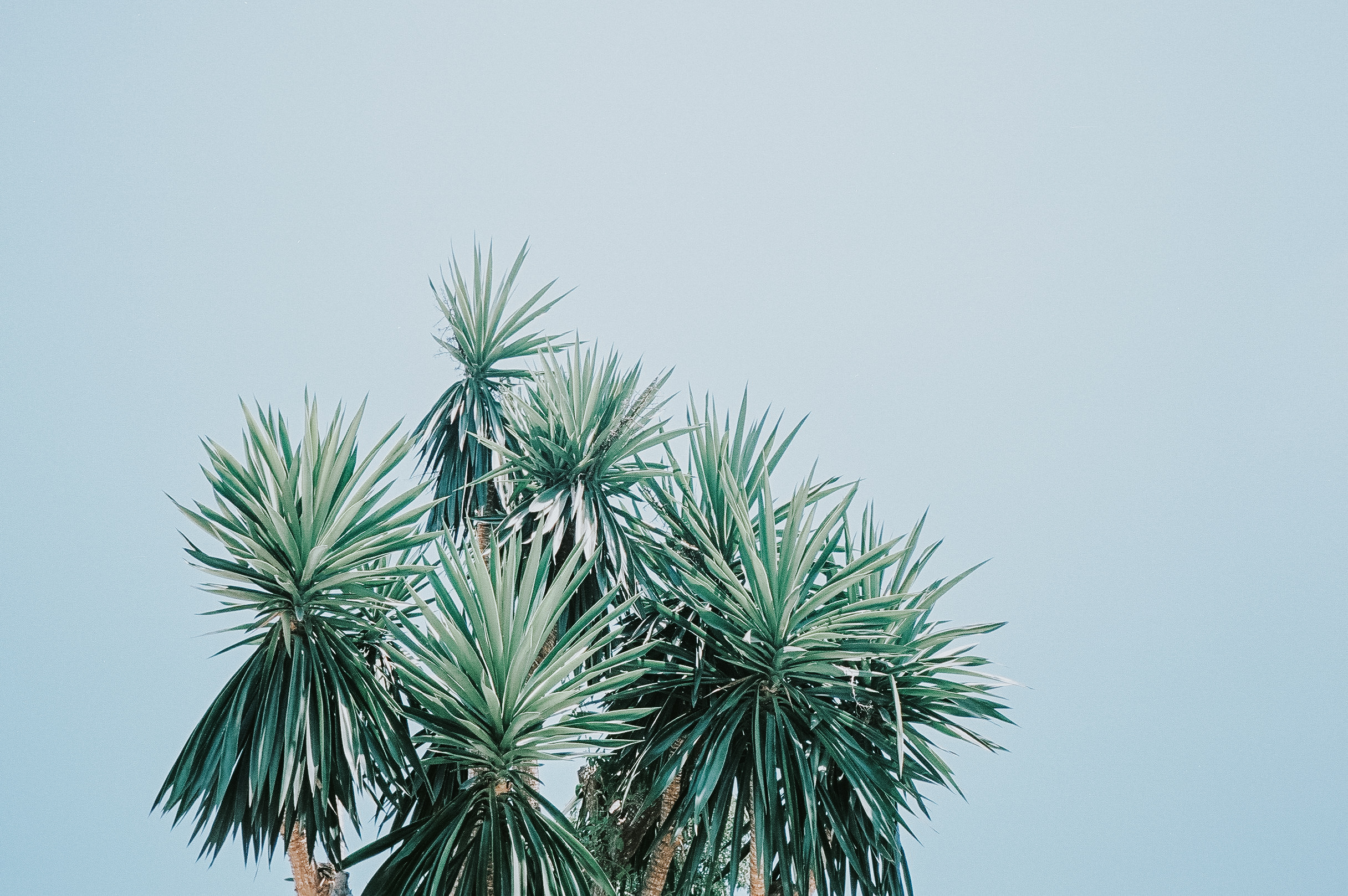 @coolnvintage | 24.JPG