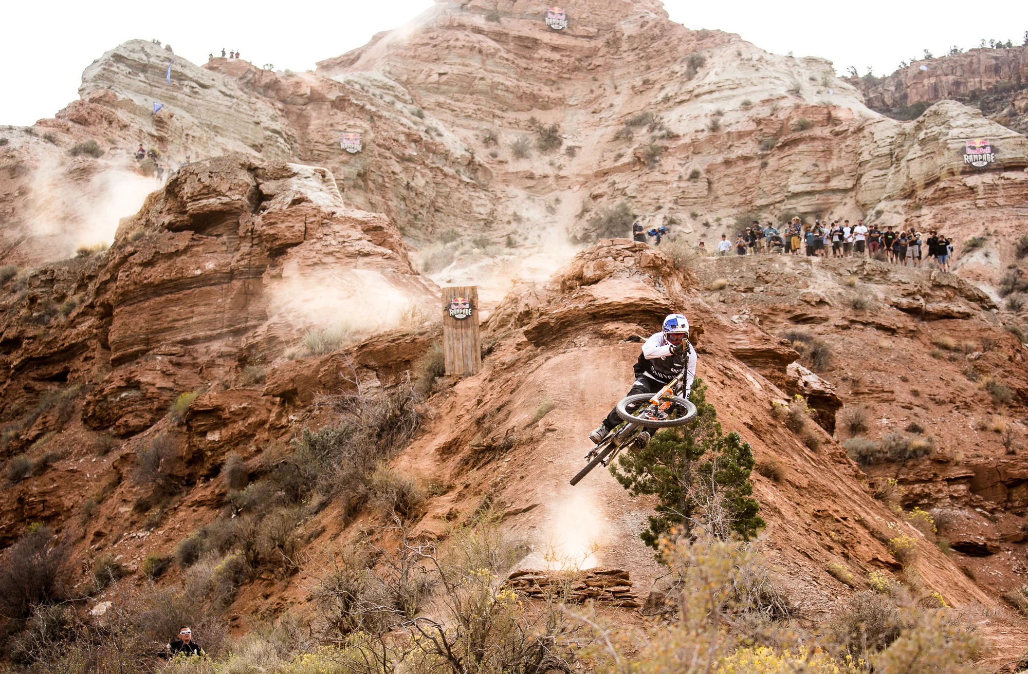 Thomas Genon, Red Bull Rampage 2016