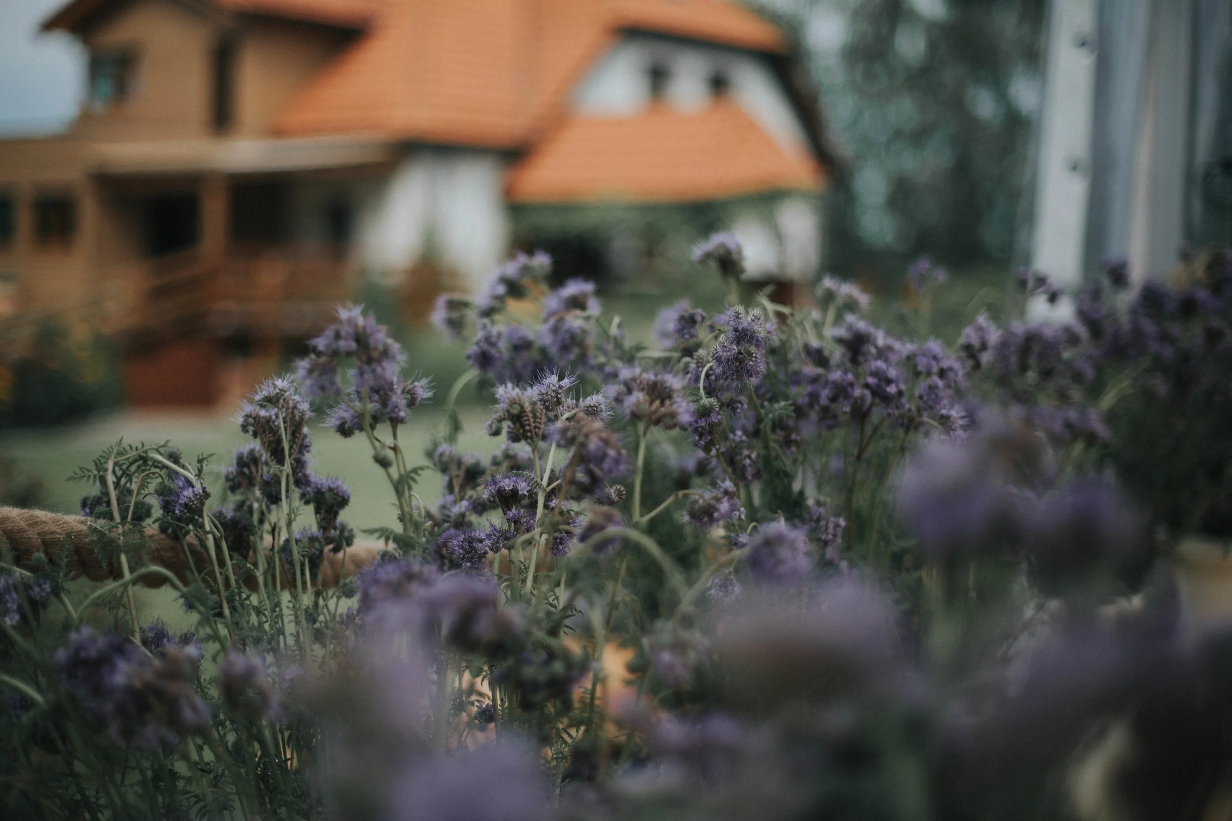 katarzynapyrchala_com__0862.jpg