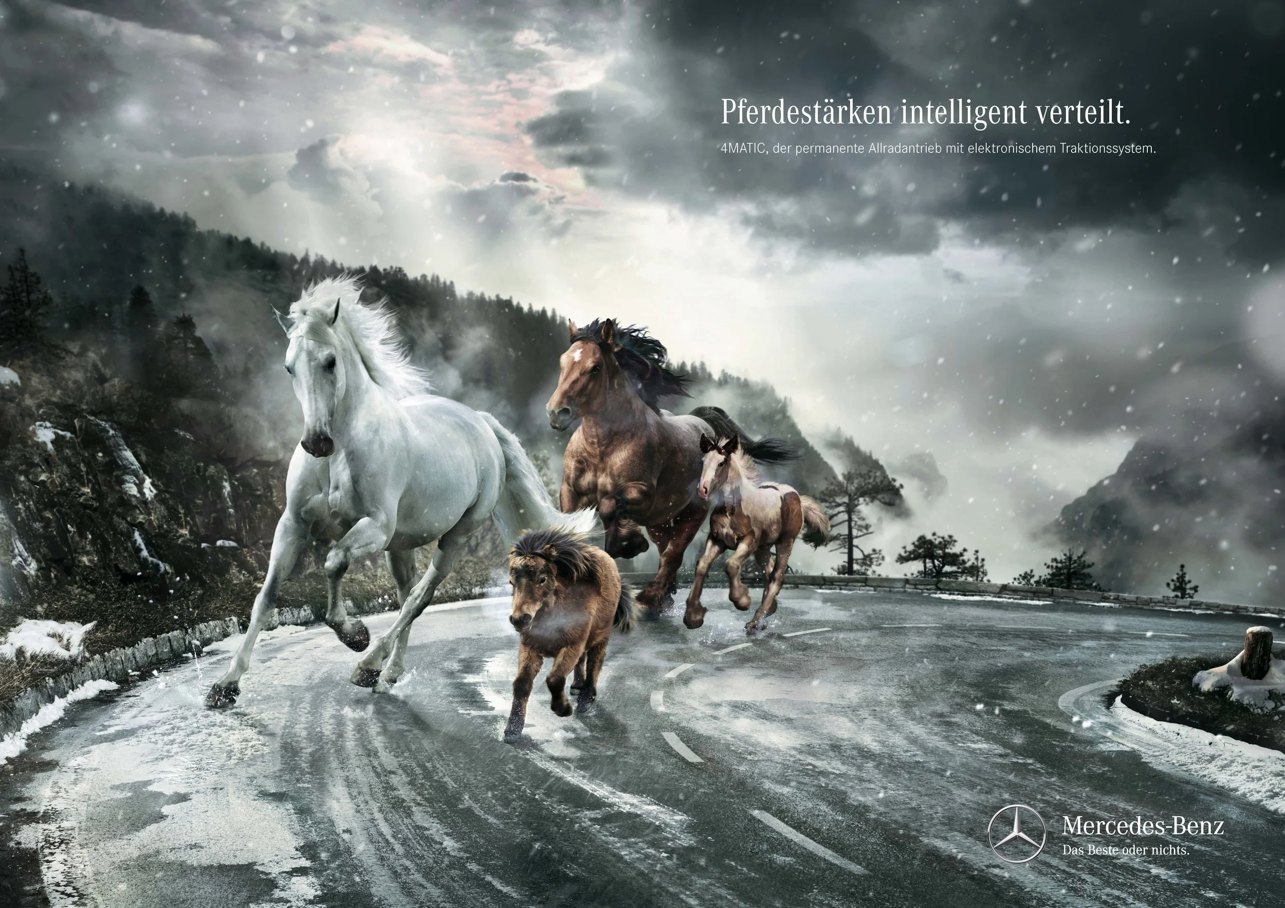 Das Plakat/Inserat "Pferdestärken intelligent verteilt"