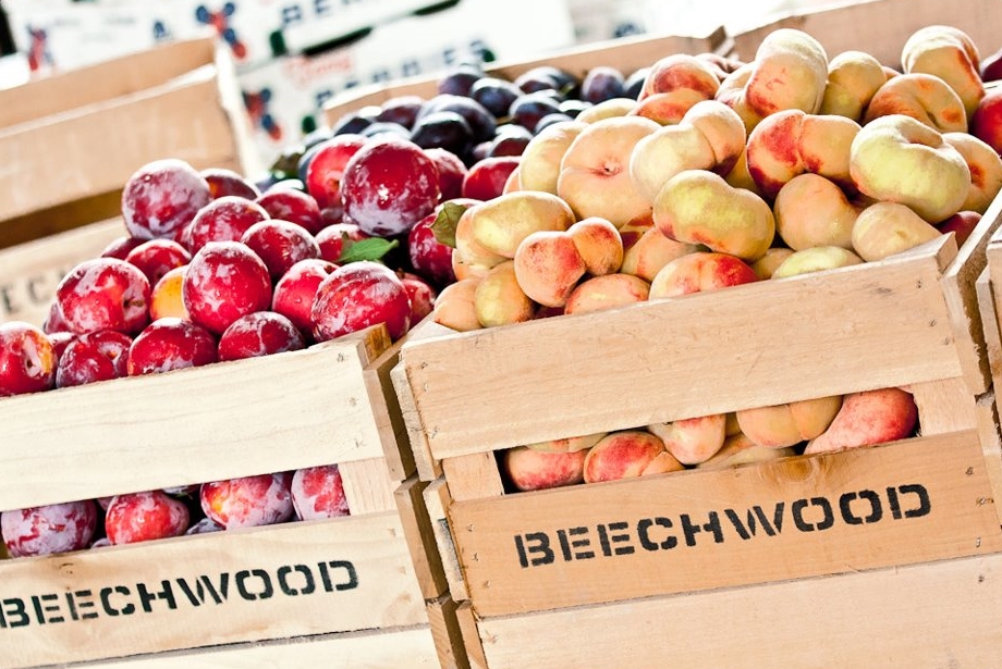beech fruit crates.jpg