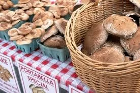 davidson mushroom basket.jpg