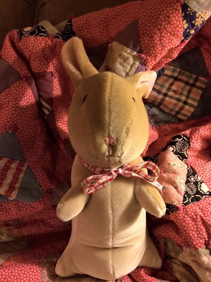 velveteen rabbit.jpg