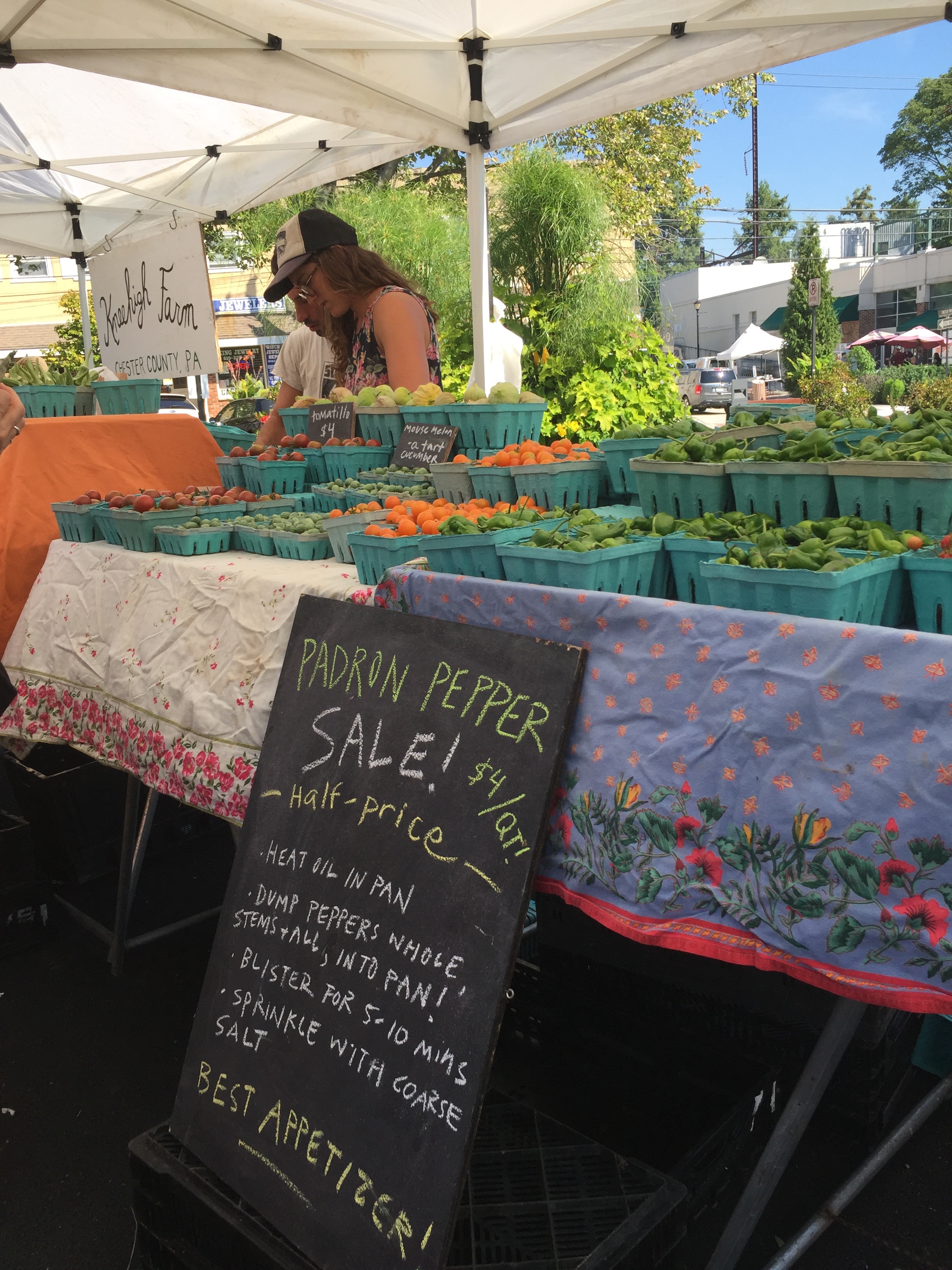 Kneehigh Farm