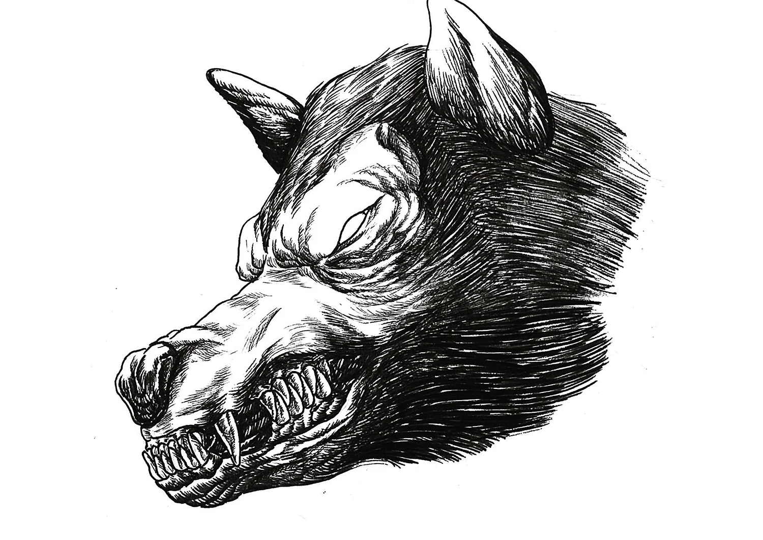 Wolf Head