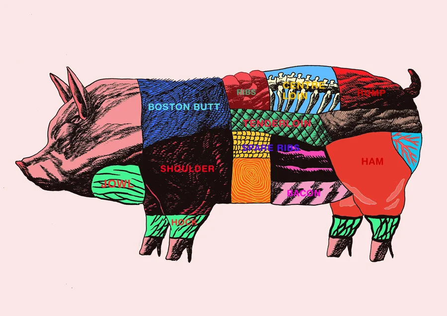 Pig Chart