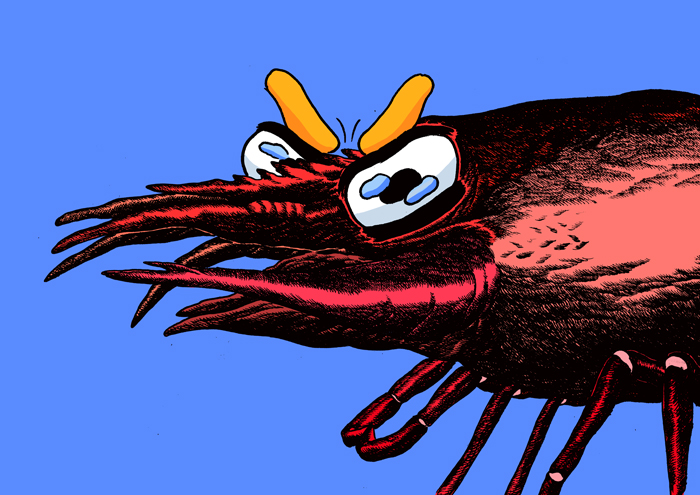 Prawn