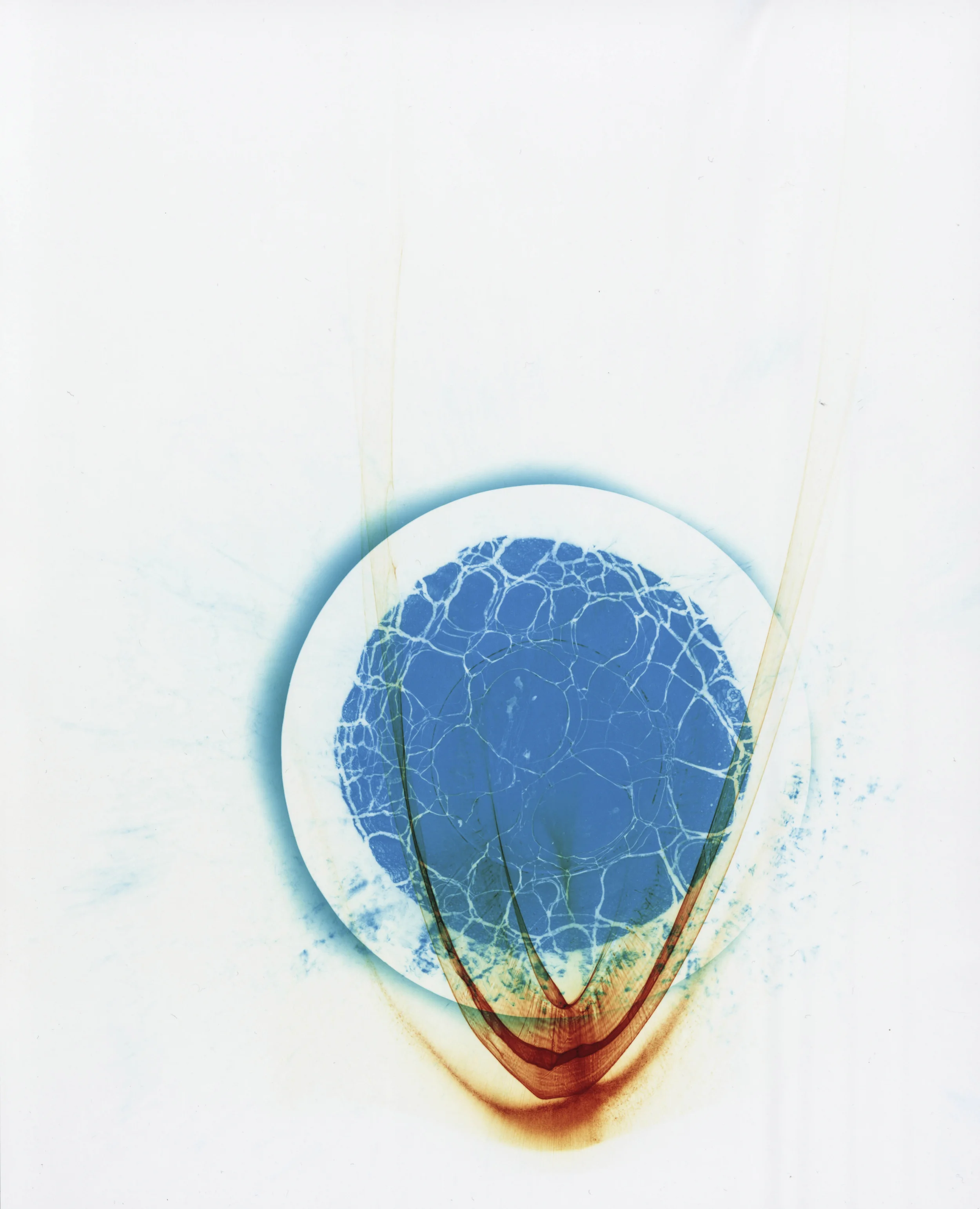 Untitled-1.jpg