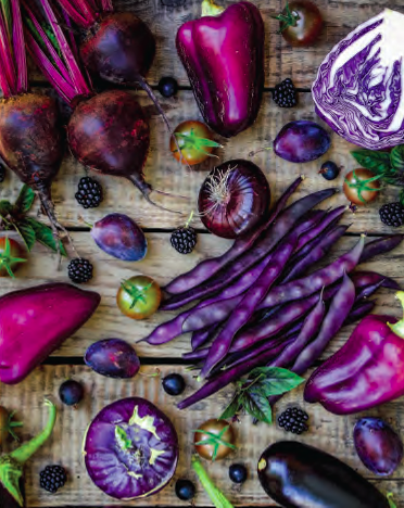 Screen Shot 2024-12-02 at 5.19.38 PM.png