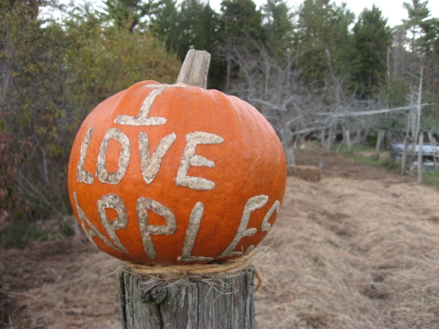 Nothing says "I love apples" quite like a custom-inscribed pumpkin! Pumpkin courtesy of Seth Yentes at North Branch Farm.