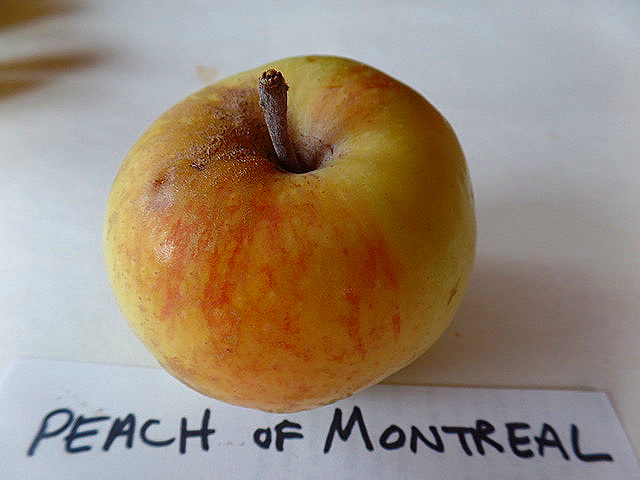 Peaches in Montreal, QC – IN PHOTOS
