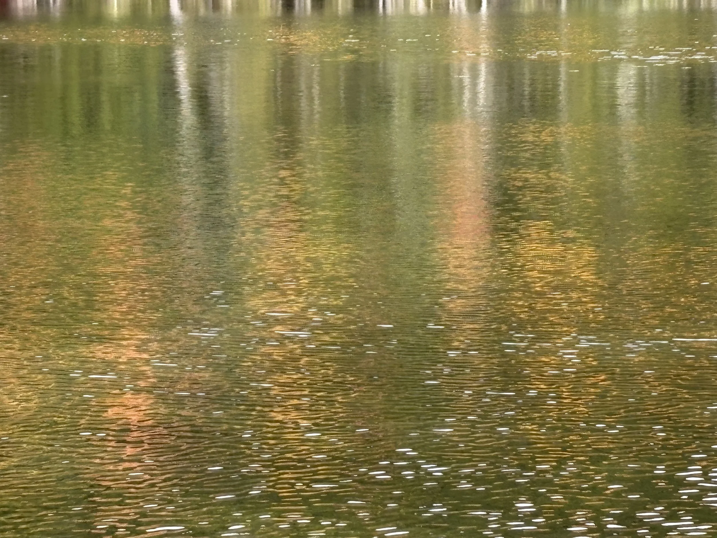IMG_0988.jpeg