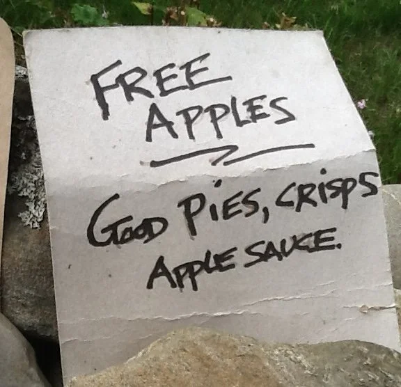 Free apples pie sign.JPG