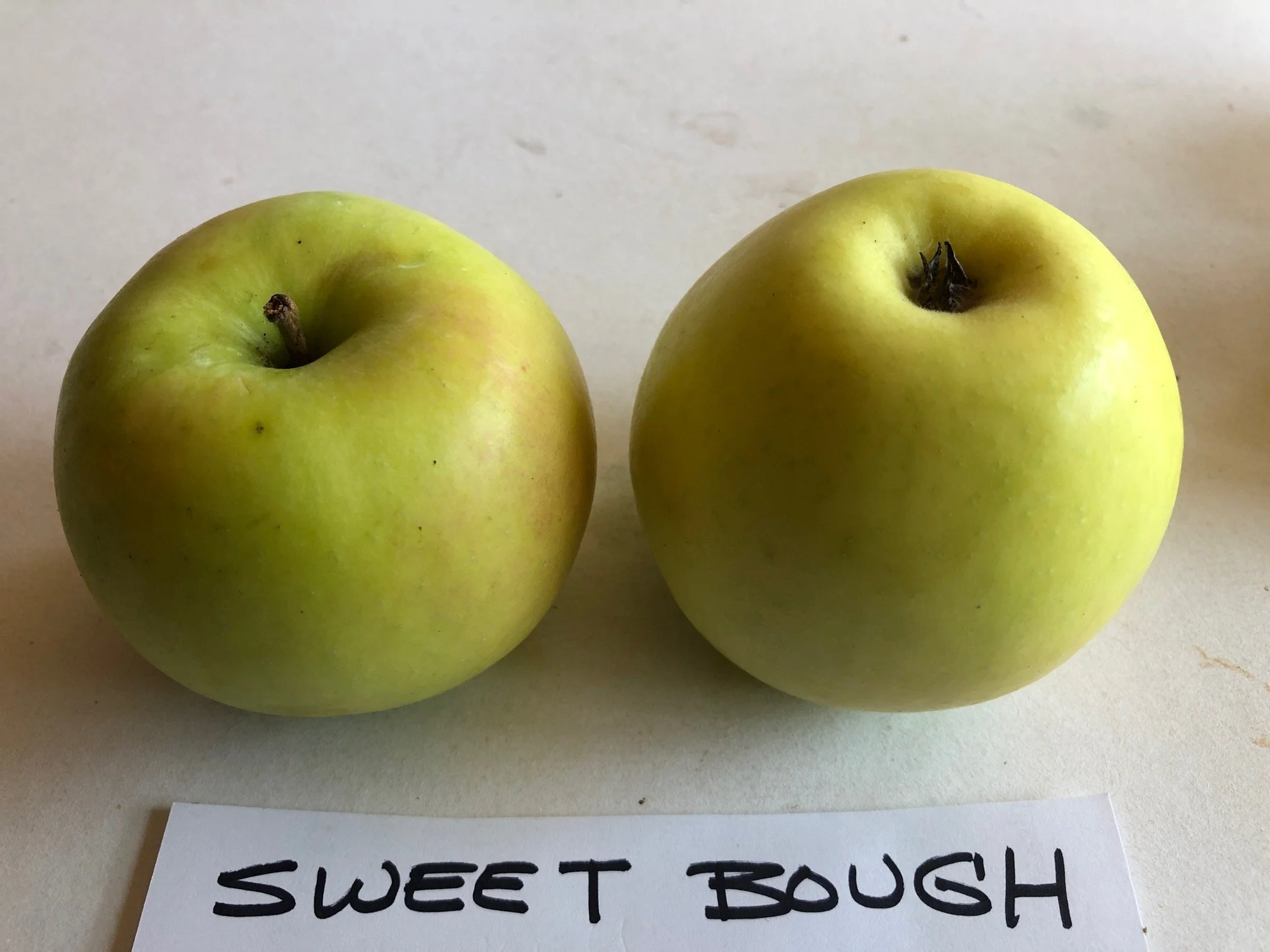 Sweet Bough — Out on a Limb Apples