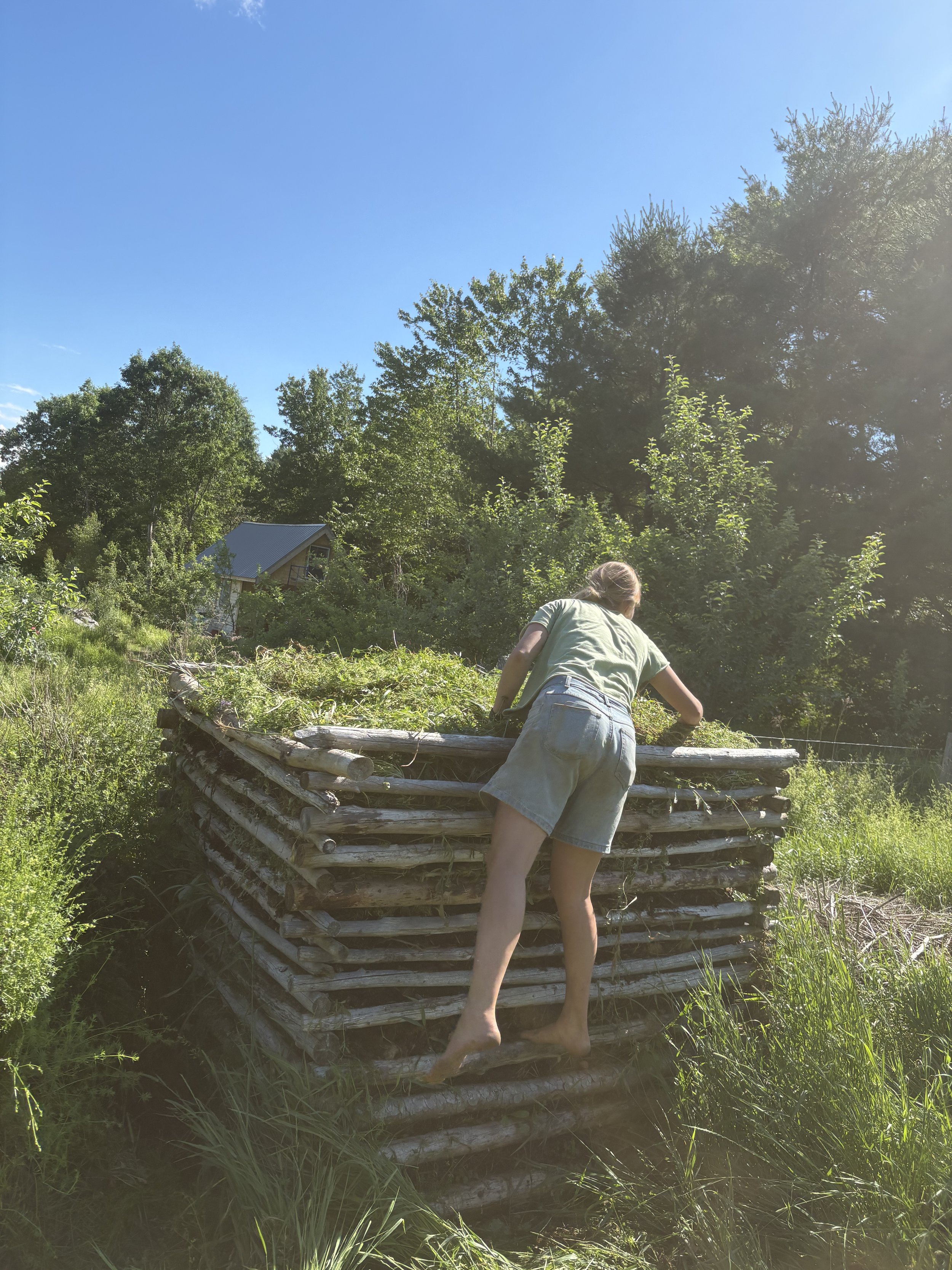 IMG_0112.jpeg