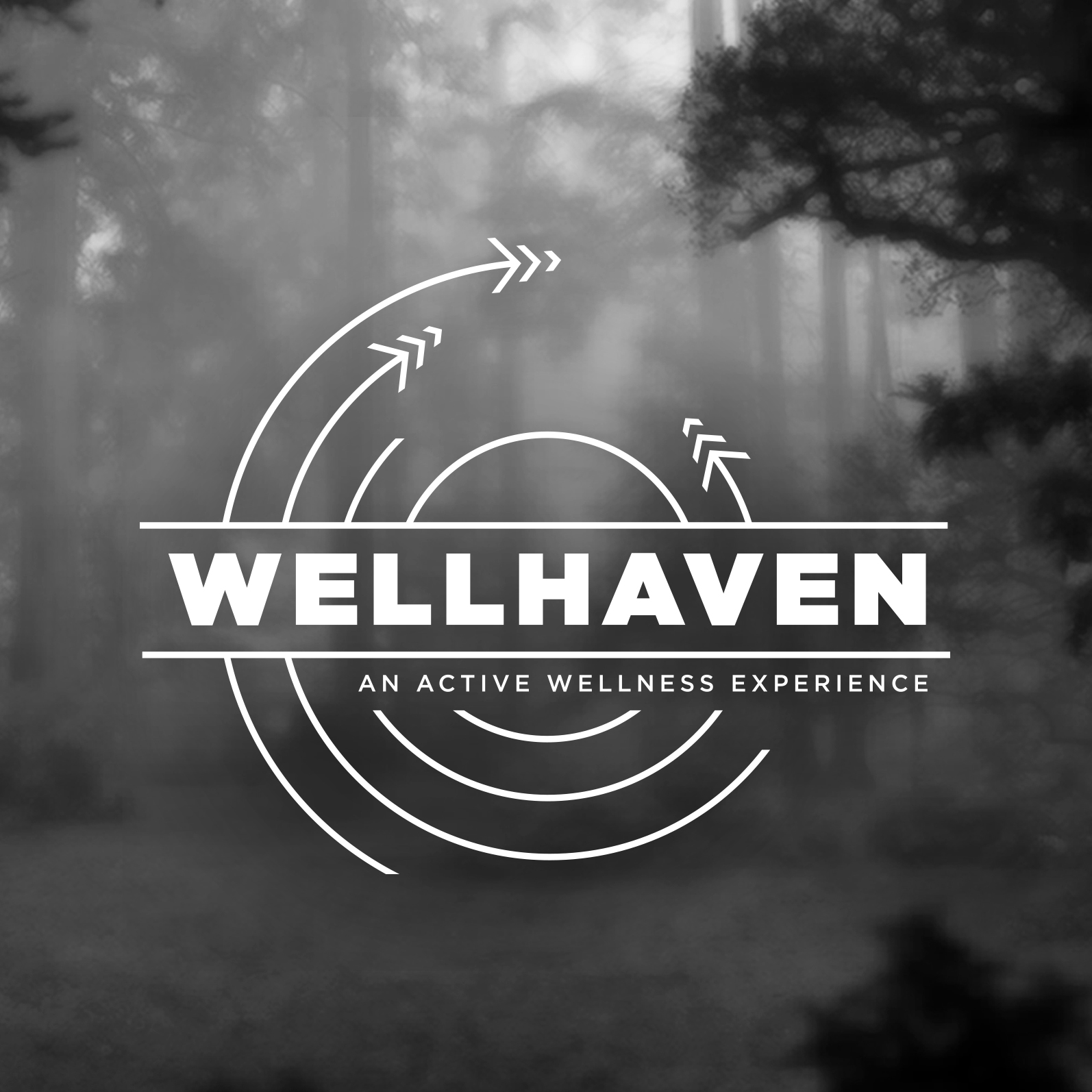01_WellhavenLogo_thumb.jpg