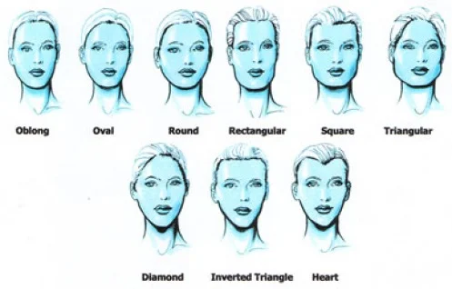 faceshapes.jpg