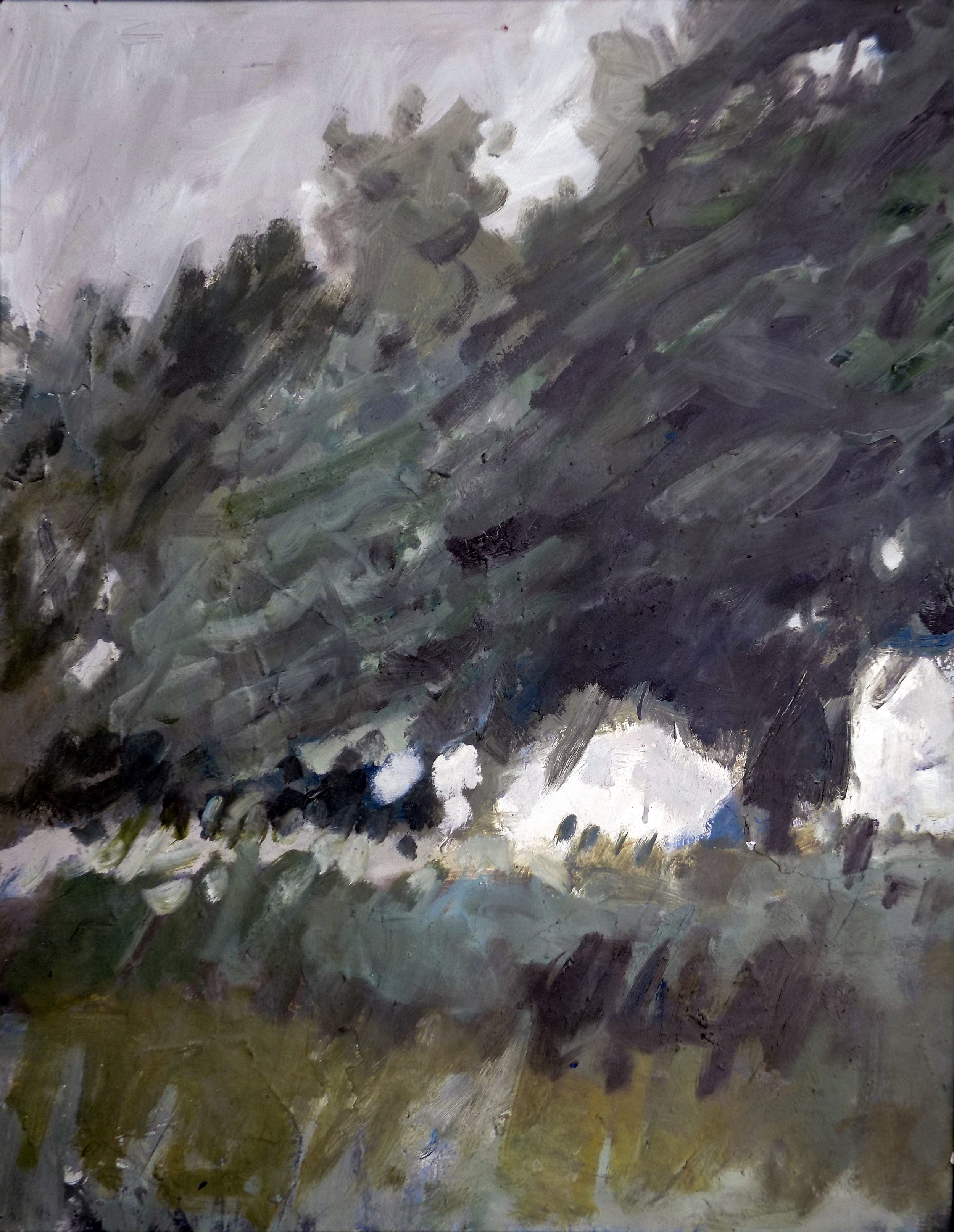 Landscape painting is a more forgiving business, than, say, painting portraits. The difference between right and wrong is seldom clear. It offers the chance to push paint about more freely. I painted these trees on a number of occasions in my mid twenties. At this time I was in the habit of painting over most of the pictures I did, so not much survives from this period. Such an intense, uncompromising creature I must have been.