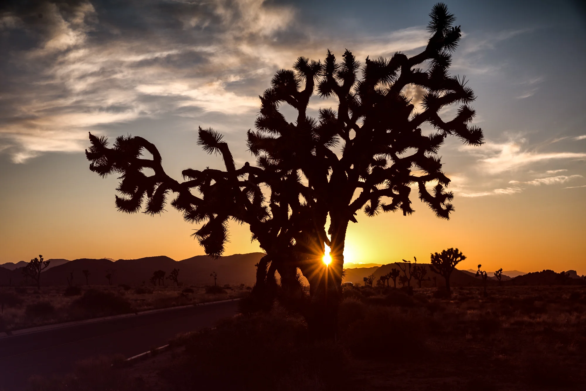 _R0A3870-Edit.jpg