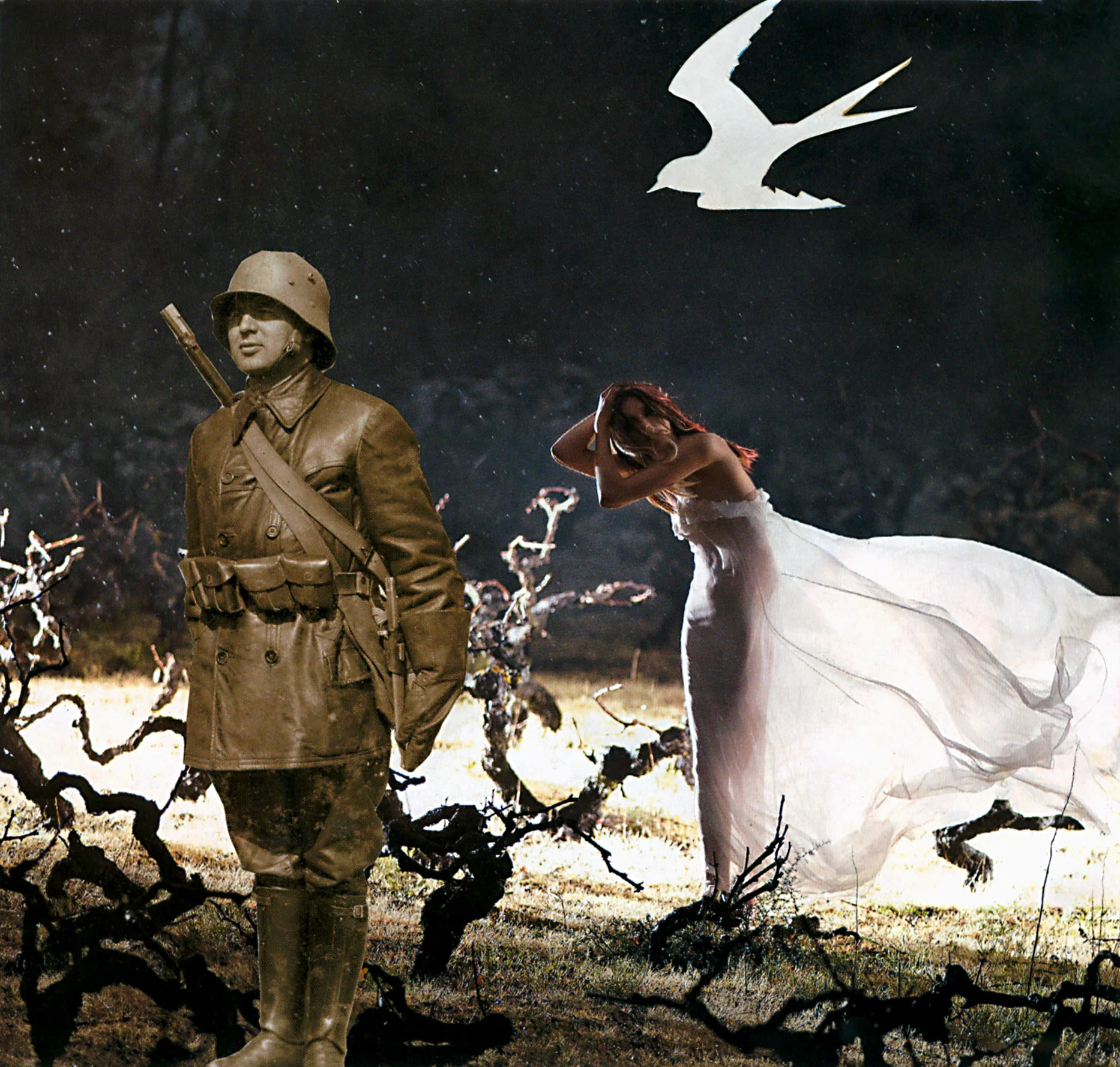 peace_guard.jpg