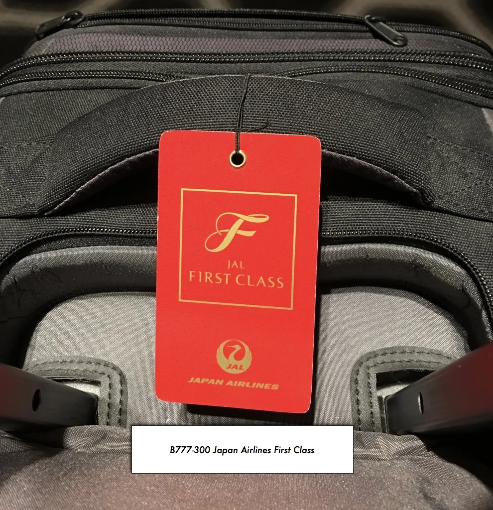 japan airlines check in baggage