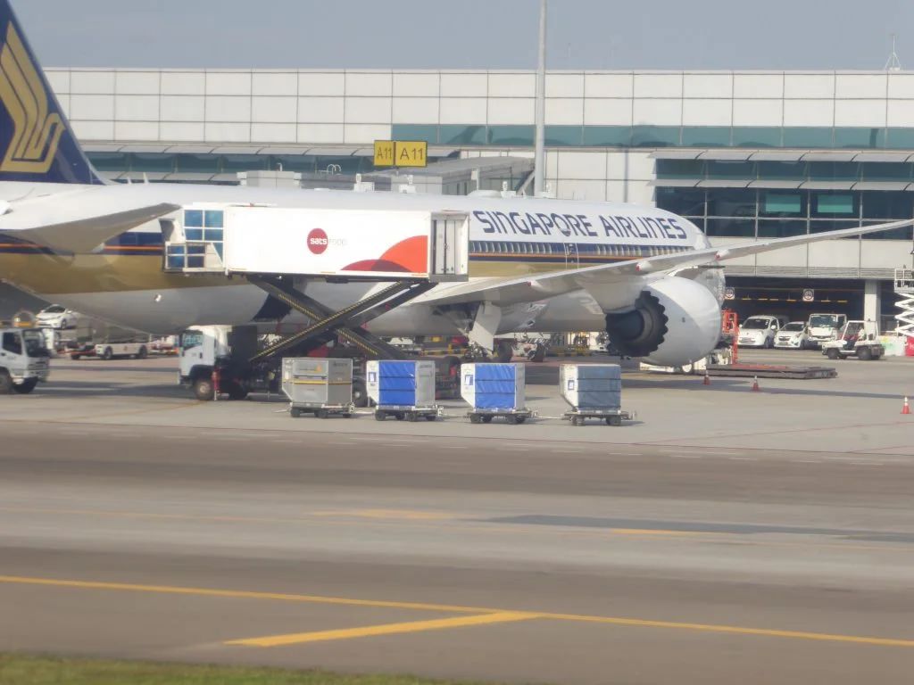 SQ806 Scenic SQ787.jpg