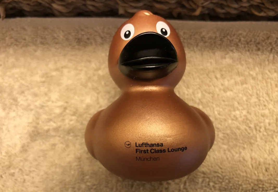 LH MUC FCL Duck 1.jpg