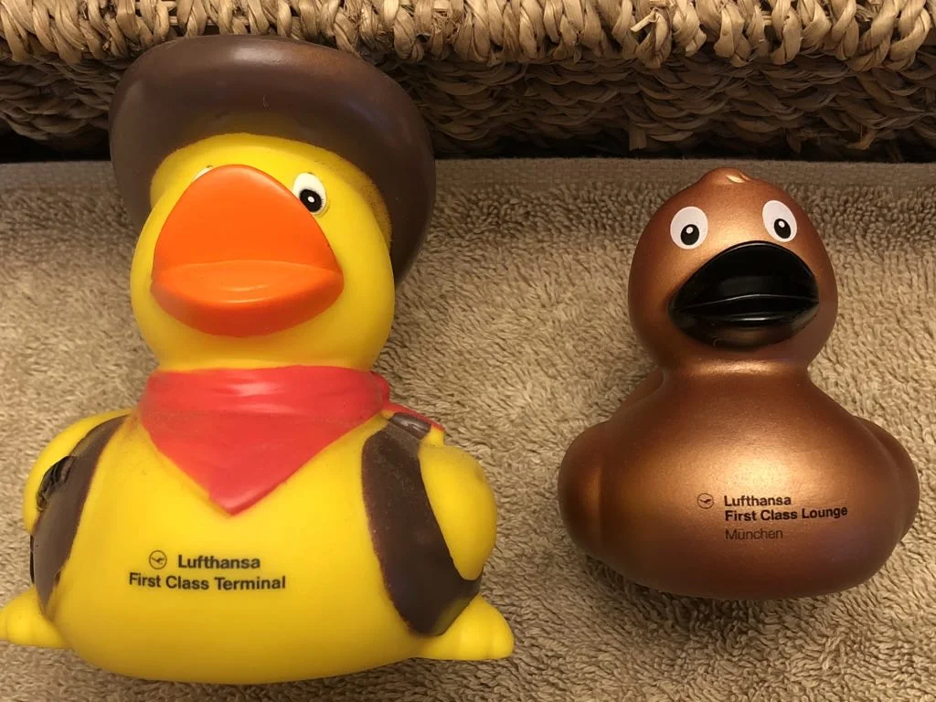 LH MUC FCL Duck 2.jpg