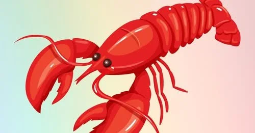 Don’t miss our lesbian speed dating events!!