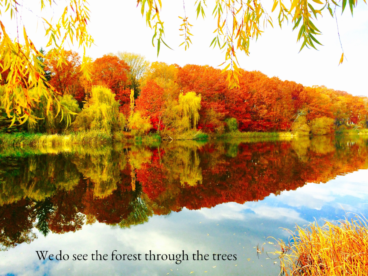 Opportunity is how you view the horizon, we view it very differently than institutional thinking. We do see the forest very clearly because it is right in front of us.