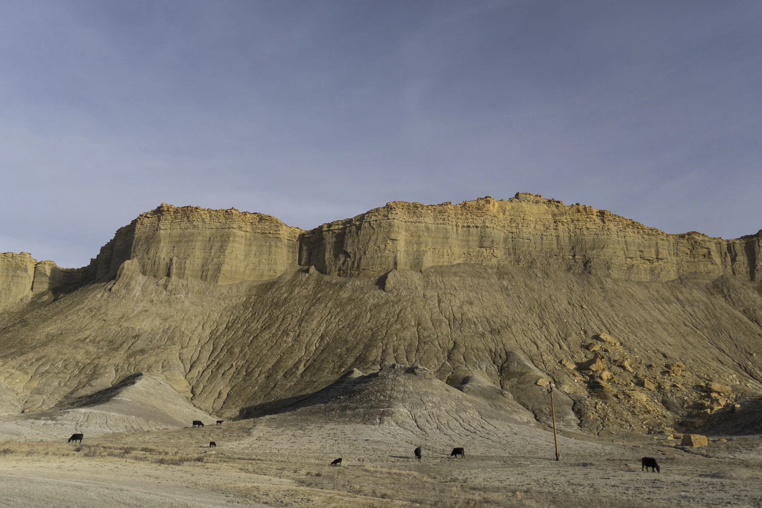 _DSC3481.jpg