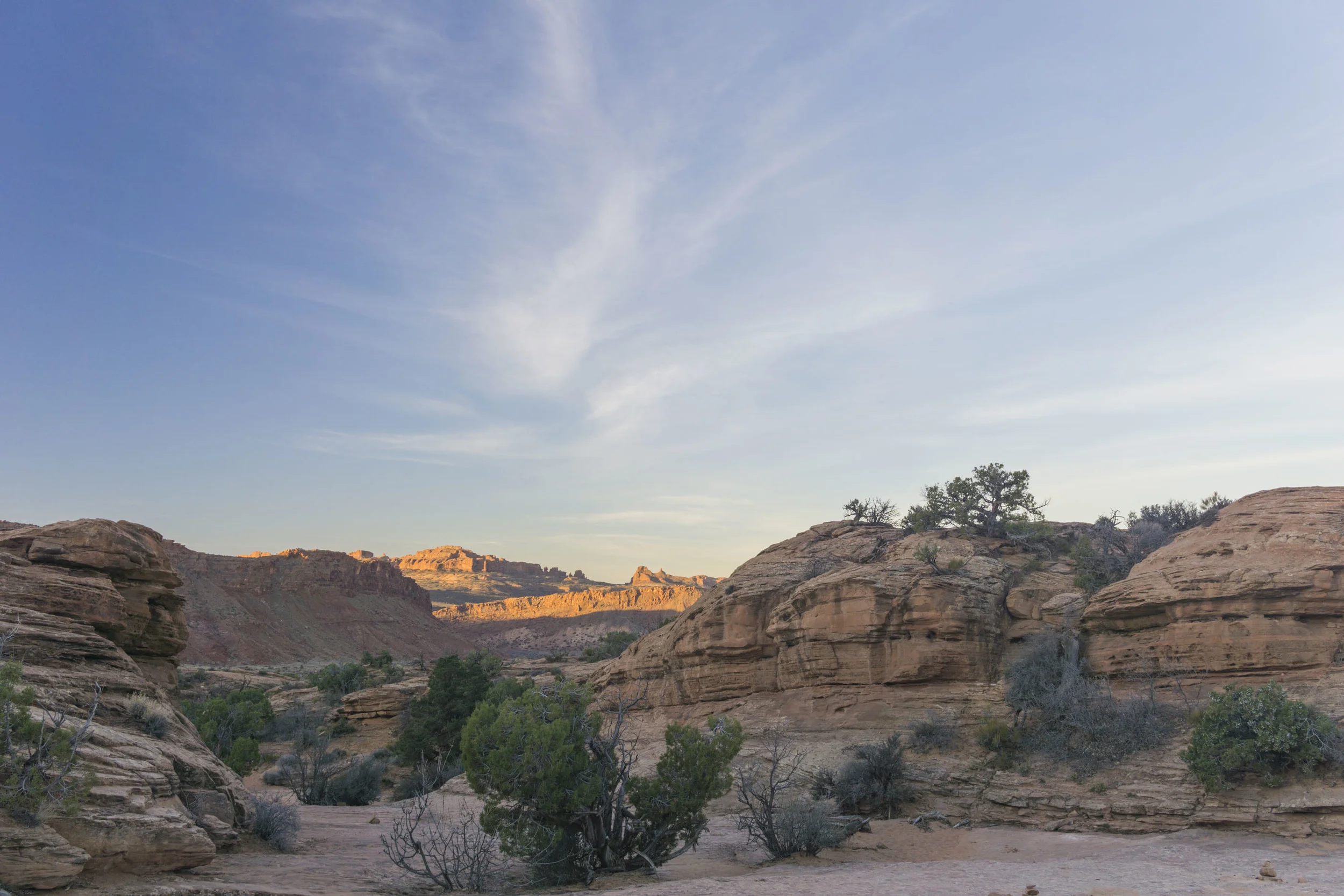 _DSC3528.jpg