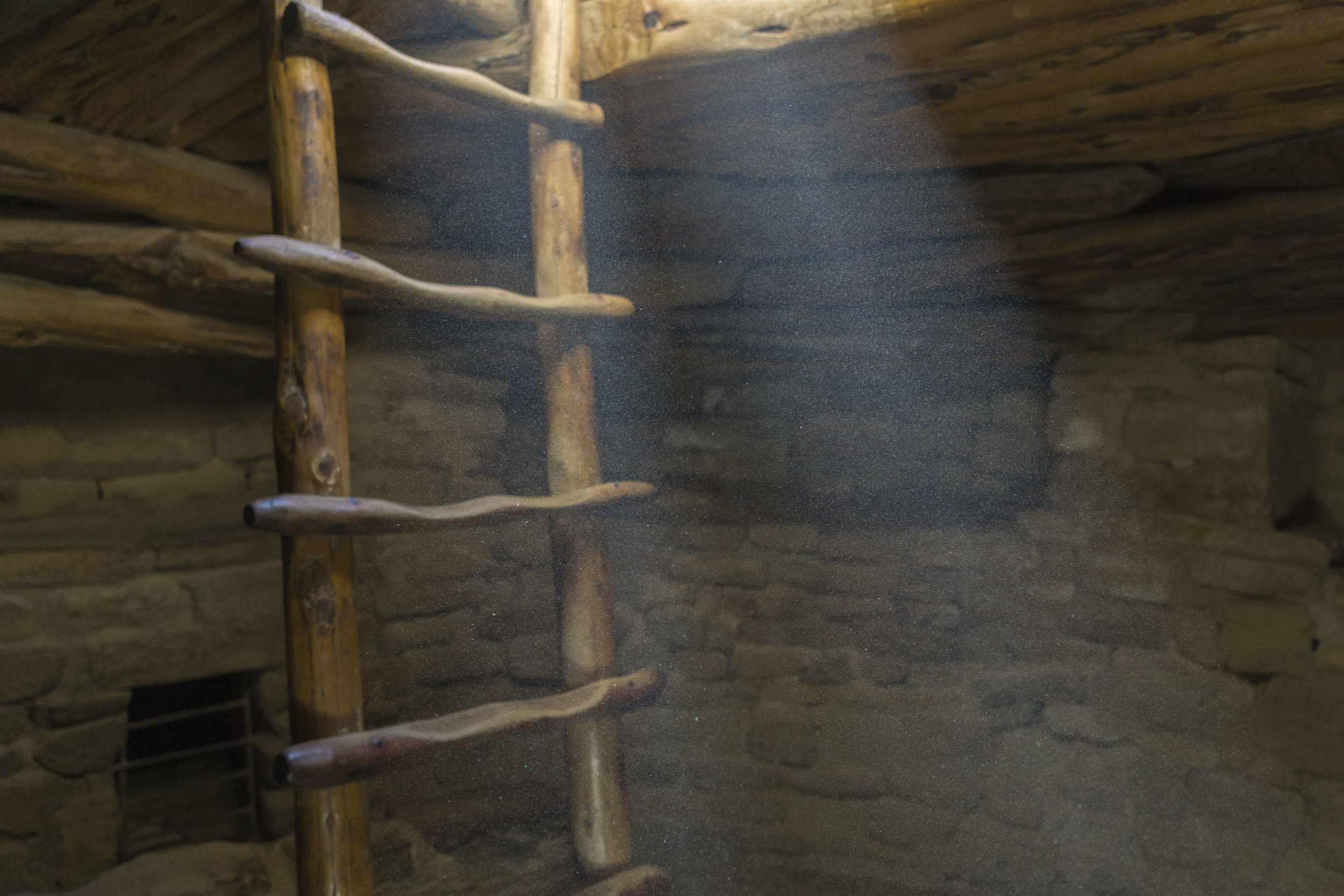 _DSC3768.jpg