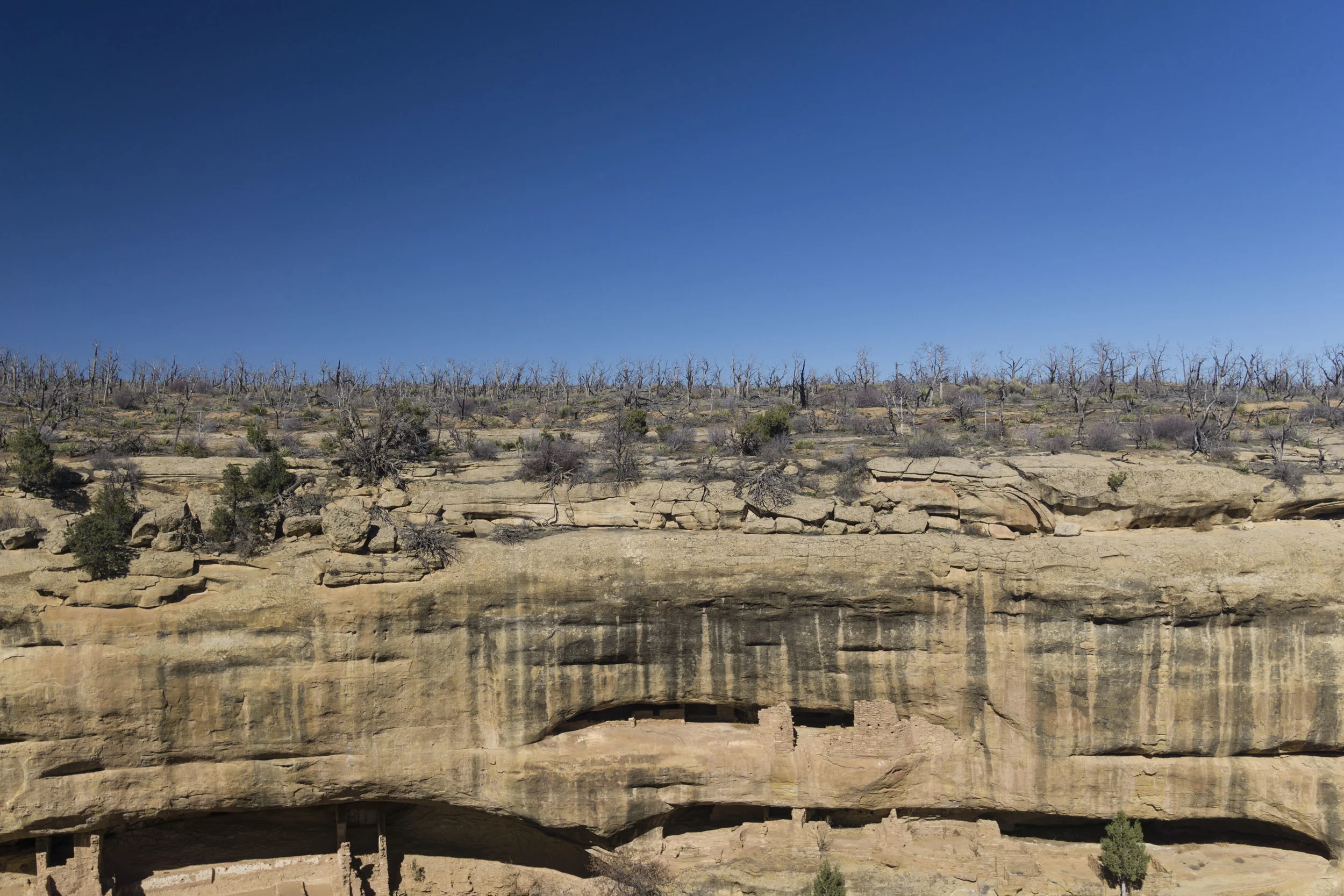 _DSC3824.jpg