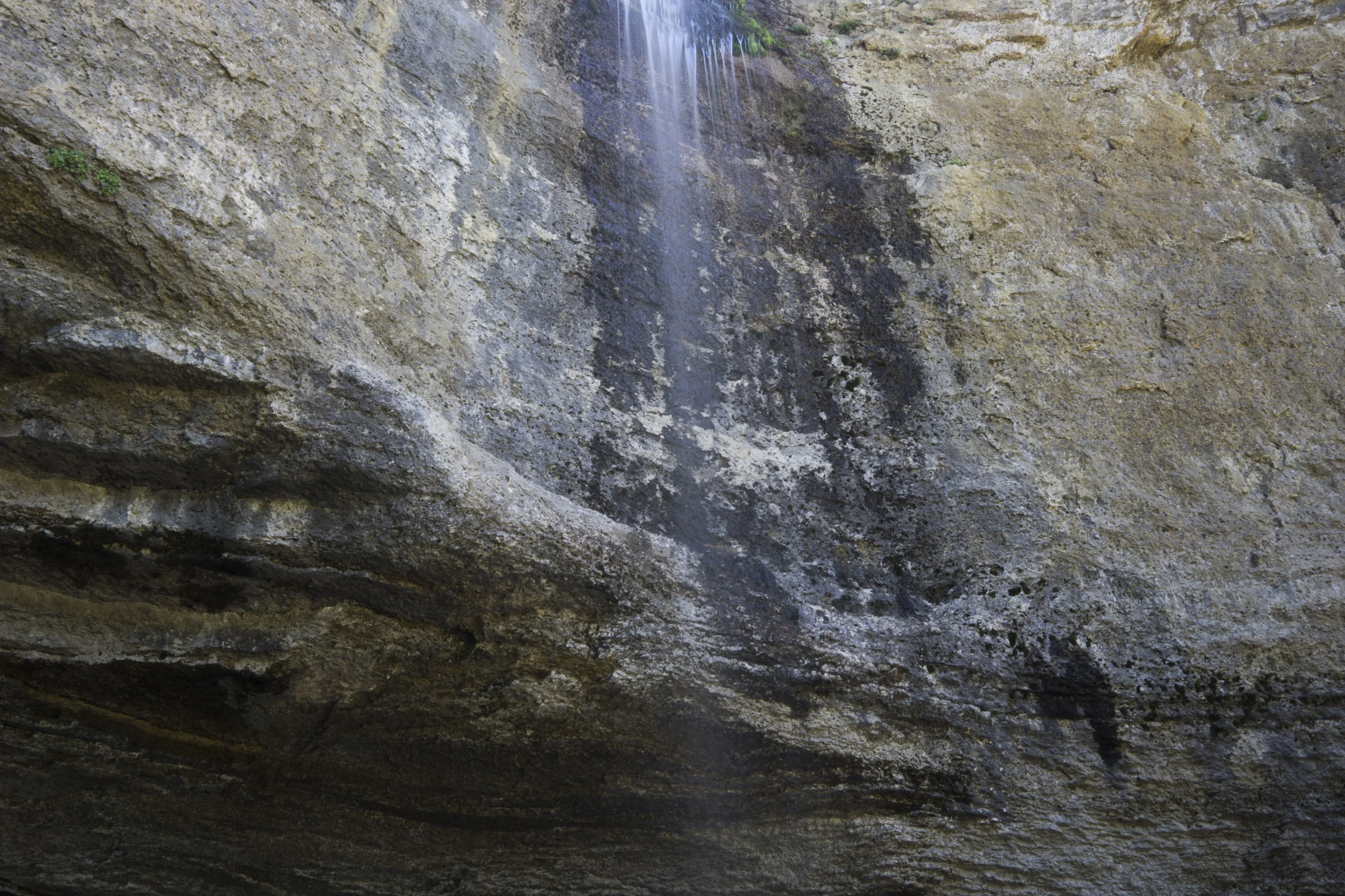 _DSC4121.jpg