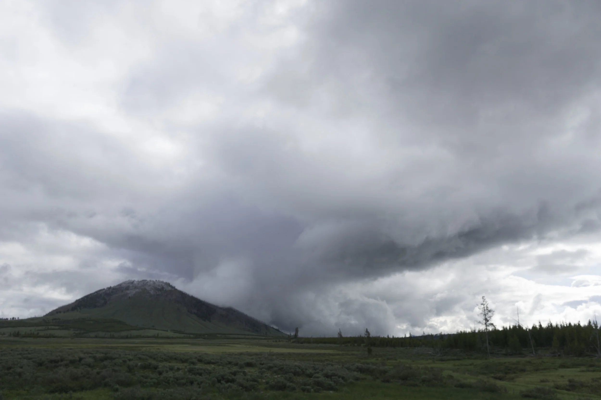 _DSC0615.jpg