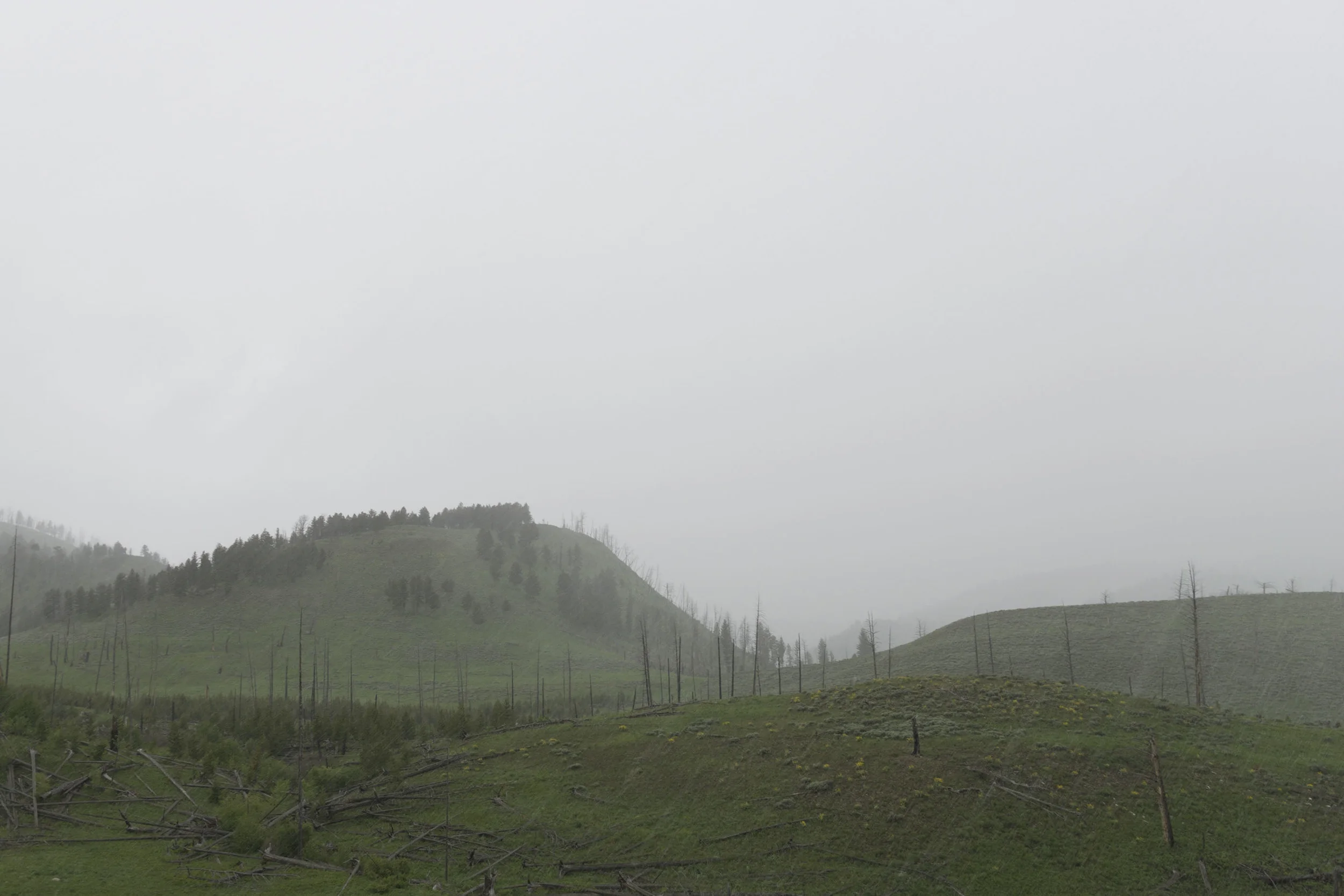 _DSC0669.jpg